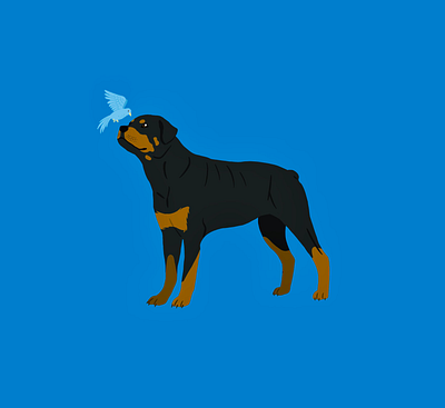 Rottweiler | Doggust 2019 bird digital art dog challenge doggust doggust2019 flat art procreate rottweiler