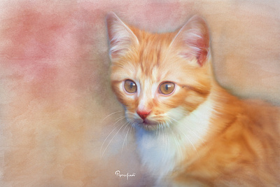 Cat in Colors animal painting cat digital art digital painting digital portrait illustration pet portrait painting potrait realism watercolor