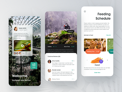 Eco museum app. animal app clean comments details gallery image information list map message messages mobile notification picture profile review shop ui video