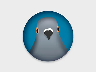 My icon for a favorite animal animal daily 100 dailyui desenhar design drawing dribbble heating icon illustration illustrations ilustrator photoshop pigeon pombo