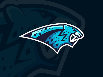 Snow leopard logo logo snowleopard sport