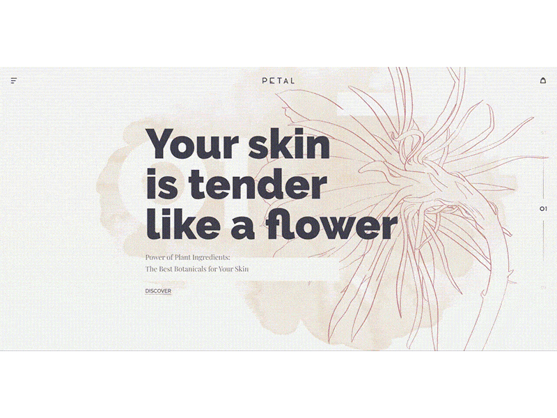 petal animation design illustration web