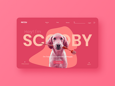 UI Design for a Pet shop! branding design dog ui pet shop ui pets photo ui pink ui ui user experience user interface