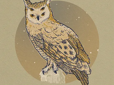Owl bird feathers four eyes halftone halftones illustration night owl stars texture