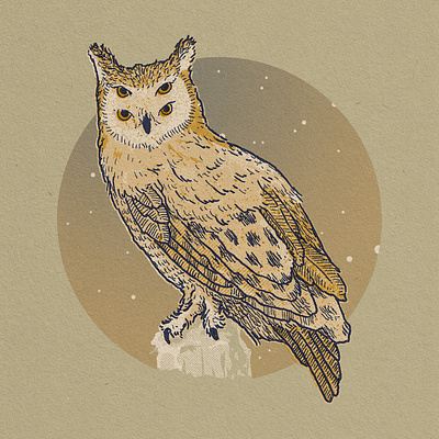 Owl bird feathers four eyes halftone halftones illustration night owl stars texture