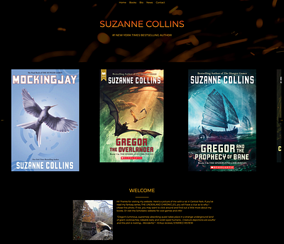 Suzanne Collins Website Redesign branding css design html javascript typography ui ux web