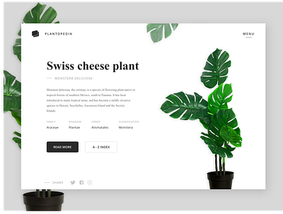 Daily UI 003 color pallet daily 100 challenge daily ui dailyui dailyui 003 design minimal photoshop product product design sketch typography ui ux