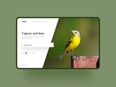 Justkilk about about page branding brown click design studio green minimal photo photography shot trendy ui ui design ux website website design yellow