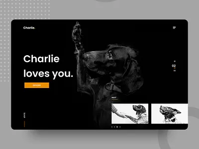 Ui/Ux 019 Inspiration🔥 dailyui design minimal typography ui uidesign uidesigner ux web website