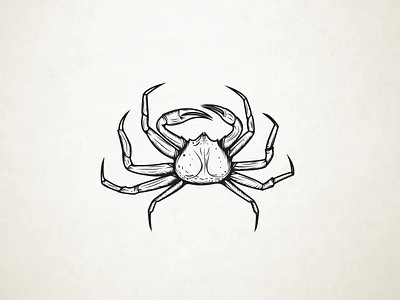 crab adobe illustrator animal black white crabs food hand drawn illustration sea wacom intuos