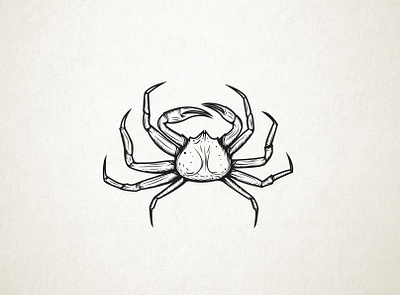 crab adobe illustrator animal black white crabs food hand drawn illustration sea wacom intuos