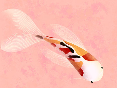 Koi fish illustration