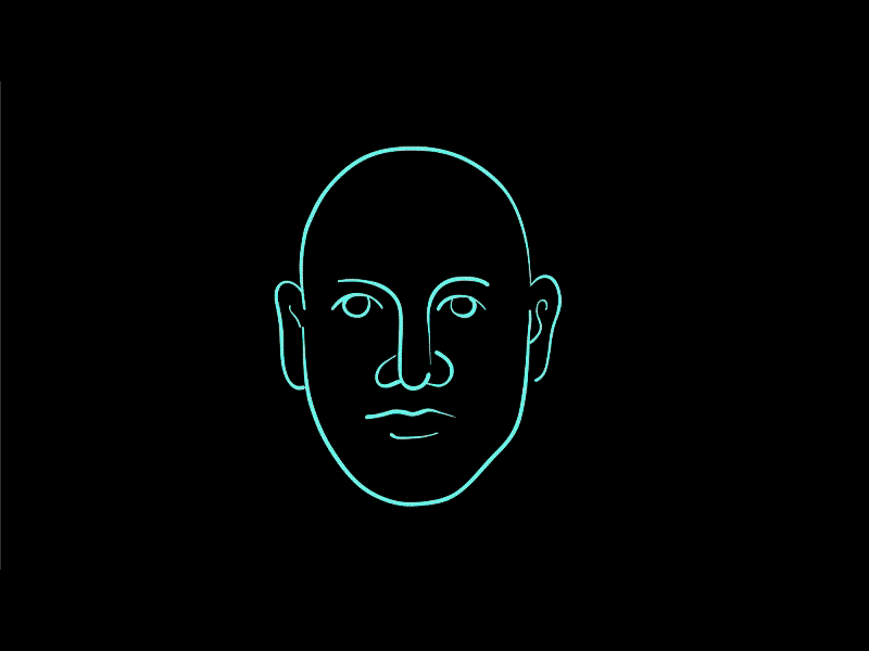 Male Human Face Recognition Low Polygon Mesh 2D Animation 2d animation access animation authentication biometric data detection encryption face recognition facial head human identification identity low polygon recognition retro scan scanning security