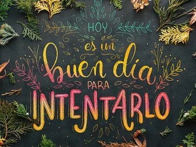 "Today is a good day to try" Rainbow lettering. botanical art chalk art chalk lettering colorful design flowers flowers illustration good day goodtype illustration lettering lettering artist photography procreate rainbow trying typography warm colors