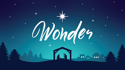 Christmas Wonder bethlehem christmas concept manger nativity pines sky star trees wonder