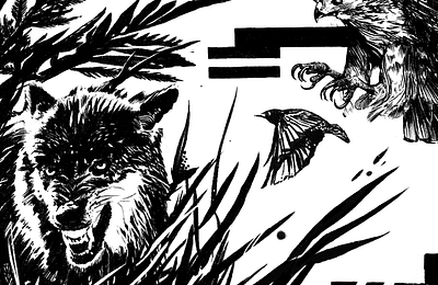 Bye Bye Birdie - Illustration animals art direction bird design digital illustration drawing full circle hand drawn hunting illustration michigan nature outdoors predators procreate talons wildlife wolf