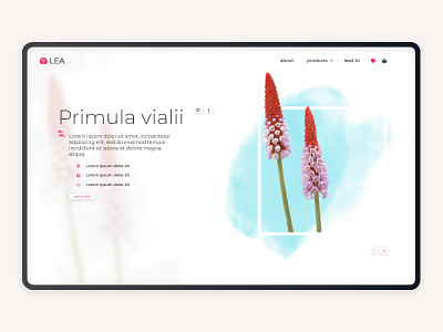 Flower Shop - LEA_B design flowers minimal ui ui design ux web webdesign website