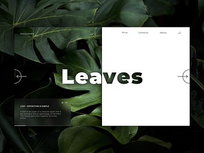 Main screen concept concept design minimalism nature ui web web design