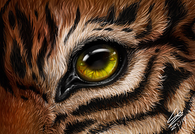 Tiger's eye animal animal art animals big cat eye feral fur macro realism realistic realistic drawing realistic painting speedpaint tiger tigers zoom