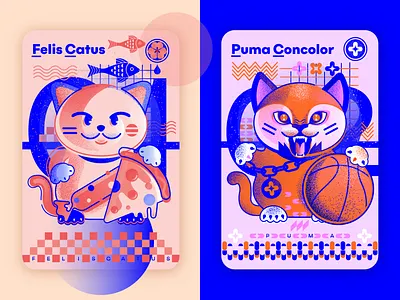 Cat Me basketball candy cat fish flower illustration pizza puma