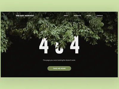 Daily Ui Challenge 008: 404 Page 404page application design design design art ui uidesign uiux user interface website website design