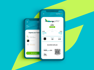 EasyFlight branding concept flight ui ux