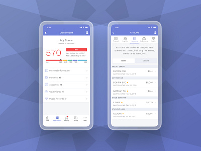 Credit Report UI account app clean ui credit credit report credit score ios list money purple report tabs ui uiux ux work sans work sans font