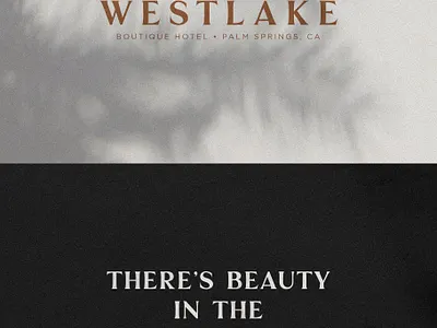 Palmer | A Classic Serif branding branding font classic classic serif classic serif font elegant fonts fashion font font design fonts collection lettering fonts logo fonts modern fonts sans serif sans serif font sans serif typeface serif serif font serif fonts serif typeface typeface