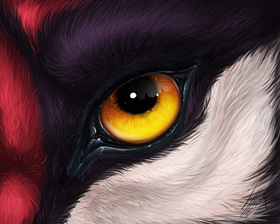 Sabertooth Eye in realistic style animal animal art animals big cat commission commissions digital art drawing eye feral fur illustration macro realism realistic realistic drawing zoom