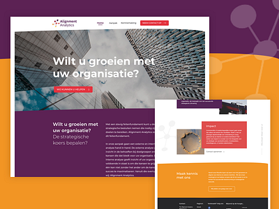 Alignment Analytics design ux uxui webdesign webdesigner