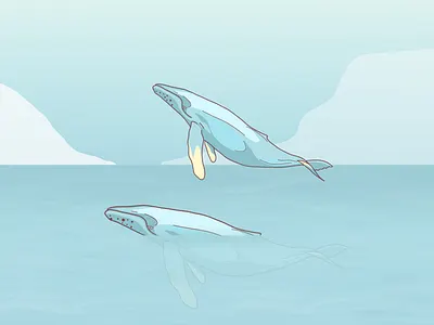 Blue Whale blue ocean procreate sea whale