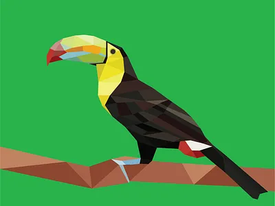 Geometric Toucan art bird geometric illustration illustrator poly polygon polygonal rainforest toucan tropical vector