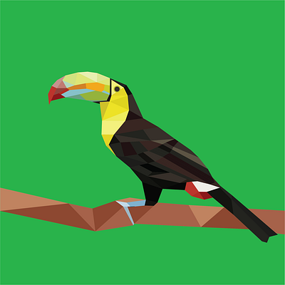 Geometric Toucan art bird geometric illustration illustrator poly polygon polygonal rainforest toucan tropical vector