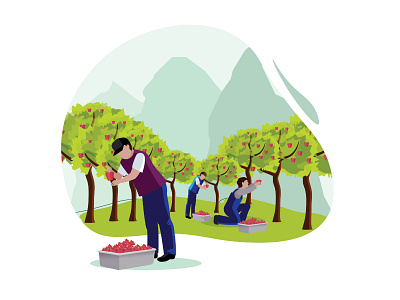Man pick some fruit on the garden agriculture apple autumn basket branch cartoon farm farmer farming field food fresh fruit garden gardener gardening gather green growth hand