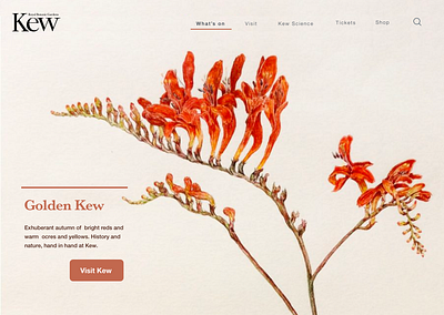 Kew Gardens Landing page - Autumn 003 botanical challenge dailyui dailyui 003 dailyuichallenge design illustration landing page ui web design