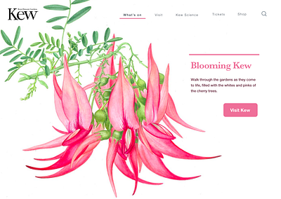 Kew Gardens landing page - Spring 003 botanical challenge dailyui dailyuichallenge illustration landing page ui