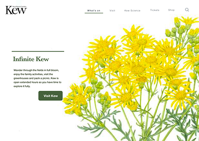 Kew Gardens Landing Page 003 challenge dailyui dailyuichallenge illustration landing page ui web design