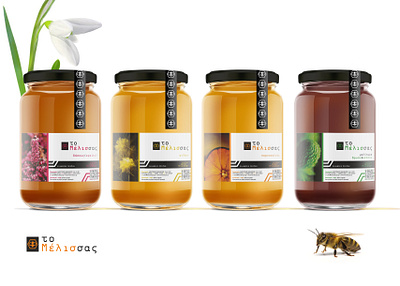 Honey package design branding logo packaging promotion