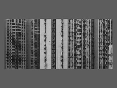 Contact us adobexduikit aftereffects anim bold brutalism concept contact contact us dailyui flat gaplevski gif grid homepage interface minimalism motion ui