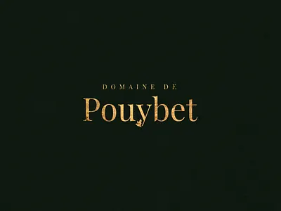 Domaine de Pouybet - rebranding bat brand branding gold foil logo logotype serif type typography vineyard wine winery