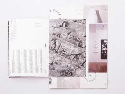 Dale Magazine design editorial editorial design typography