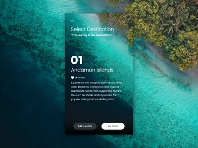 Travel App UI app apple branding design illustration ios minimal reip tour travel travel app ui ux