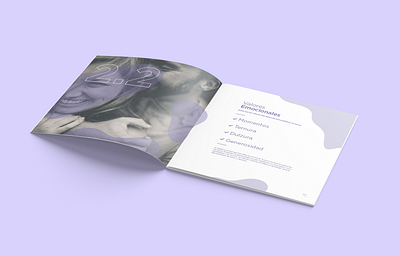 Why a lilac cow? ―The Brandbook adobe brand book brochure corporate editorial graphic design illustrator indesign monochromatic