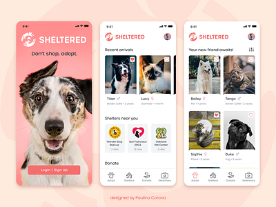 Pet Adoption App Concept adobe xd animals app cards cats charity dogs mobile mobile ui pet adoption pets shelter ui design uiux ux design