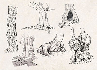 Sketches: Trees #1 drawing illustration lineart nature sketch sketches trees