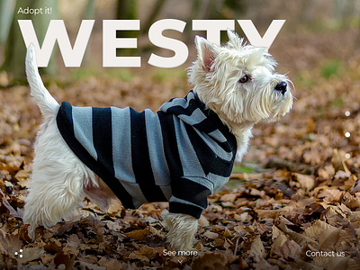 Adopt it! - Diseño propio adopt animal branding clean daily ui design dog illustrator lettering simple typography ui ux vector web