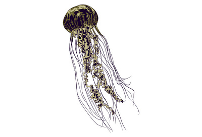 UNDER THE SEA artwork creative creature digital digital art editorial editorial illustration illustration illustrator jellyfish magazine nature ocean print sea vector