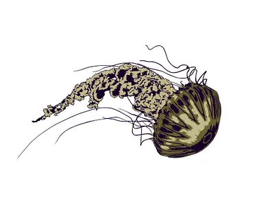 UNDER THE SEA artwork creative creature digital digital art editorial editorial art editorial illustration illustration illustrator jellyfish magazine nature ocean sea vector