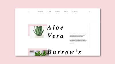 Everything Succs: Care Page design desktop flat layout typography ui ux web web design website