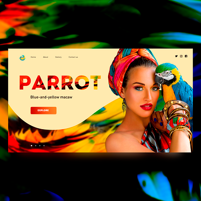 Parrot beautiful color concept creative design design minimal parrot ui web website